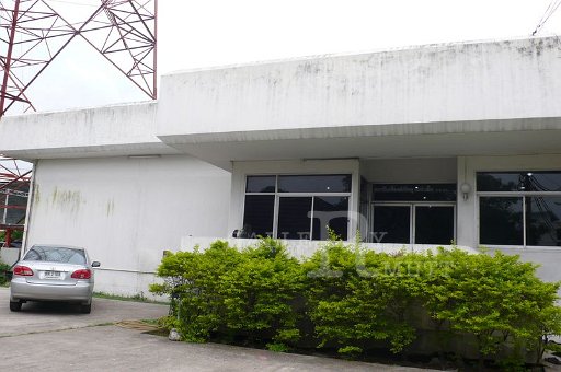 P1170862.JPG
