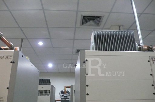 P1170870.JPG