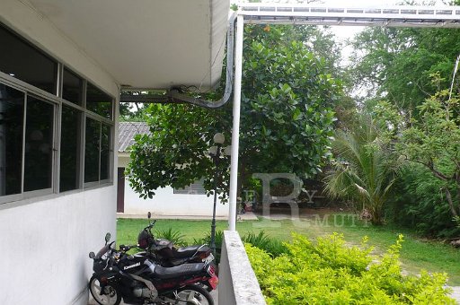 P1170881.JPG