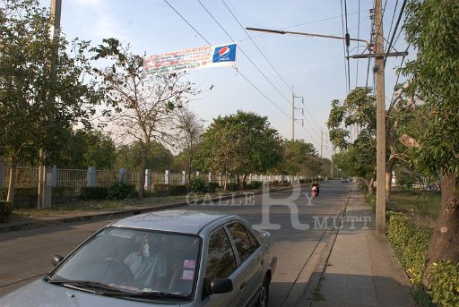 DSC_0925.jpg