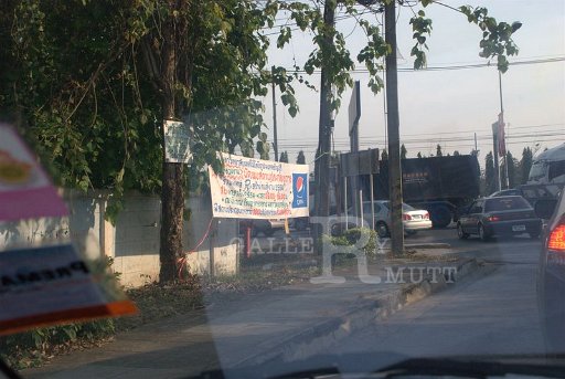 DSC_0926.jpg
