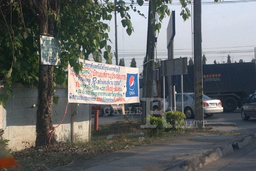 DSC_0927.jpg