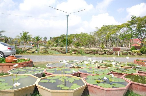 DSC_0002.JPG