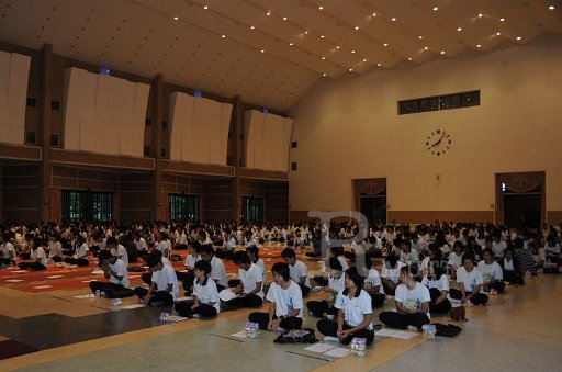 DSC_8510.JPG