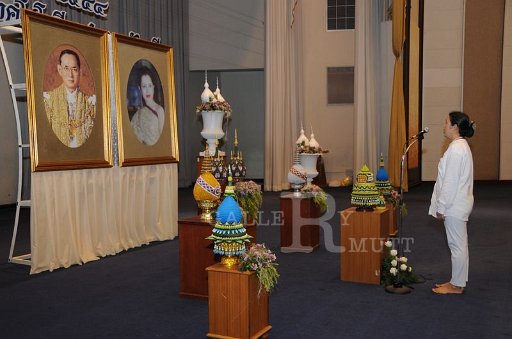 DSC_8514.JPG