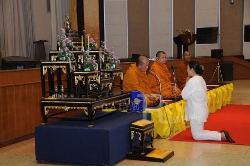 DSC_8520.JPG