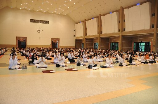 DSC_8535.JPG