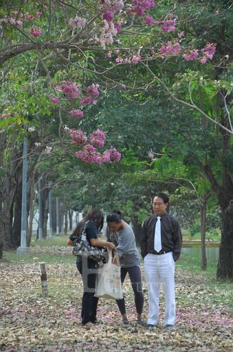 DSC_0049.JPG