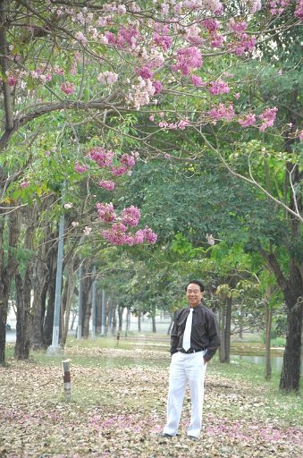 DSC_0057.JPG