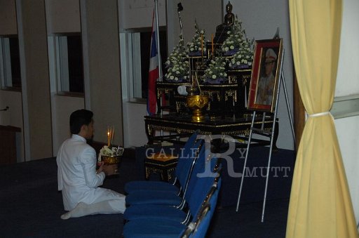 DSC_0310.JPG