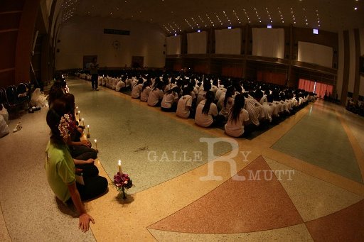 IMG_1226.JPG