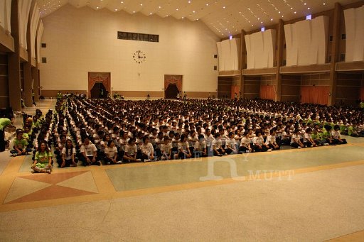 MCT030.JPG
