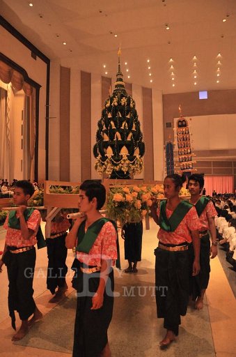 CSC_1170.JPG