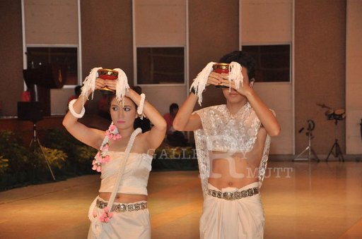 DSC_1155.JPG