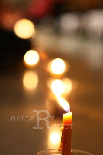 IMG_6381.jpg