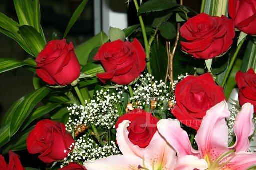IMG_0757.JPG