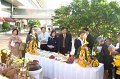 IMG_0546