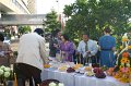 IMG_0559