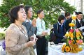IMG_0582