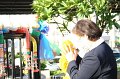 IMG_0589