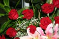 IMG_0757