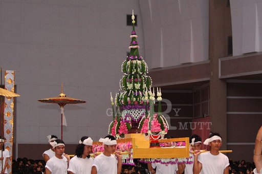IMG_9138.JPG