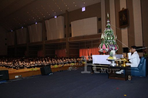 MCT063.JPG