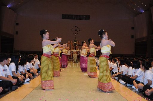 MCT100.JPG