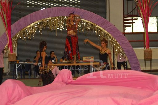DSC_0378.JPG