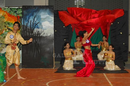 DSC_0443.JPG