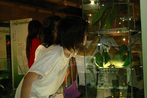 IMG_0345.JPG