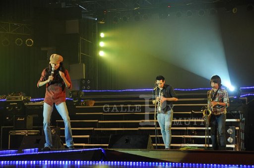 DSC_5393.JPG