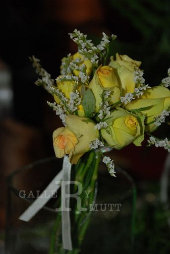 DSC_0082_resize.JPG