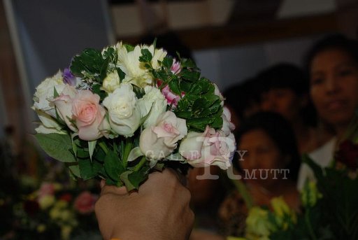 DSC_0120_resize.JPG