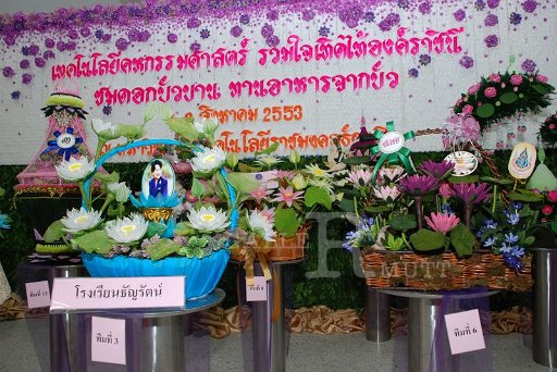 DSC_8655.JPG