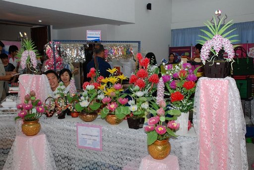 DSC_8663.JPG