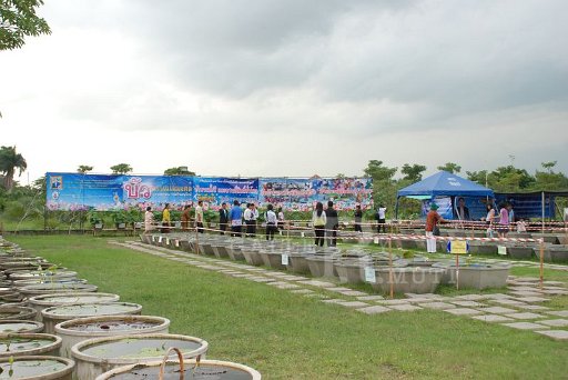 DSC_8670.JPG