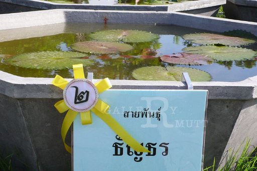 P1090791.JPG