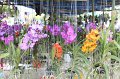 IMG_1032