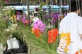 IMG_1040