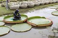 IMG_1042
