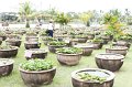 IMG_1045