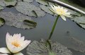 IMG_1060