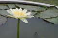 IMG_1061