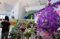 IMG_1168