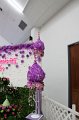 IMG_1172