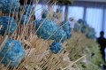 IMG_1352