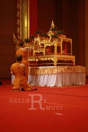IMG_9848.JPG
