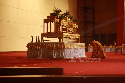 IMG_9860.JPG