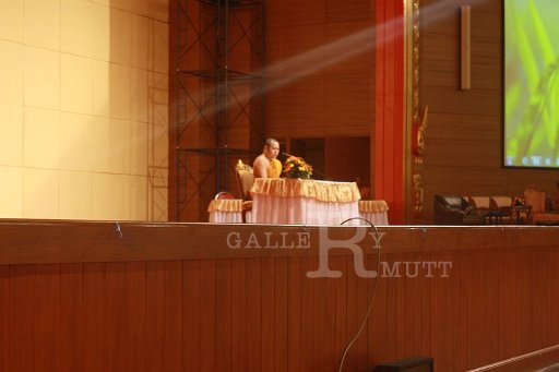 IMG_9866.JPG